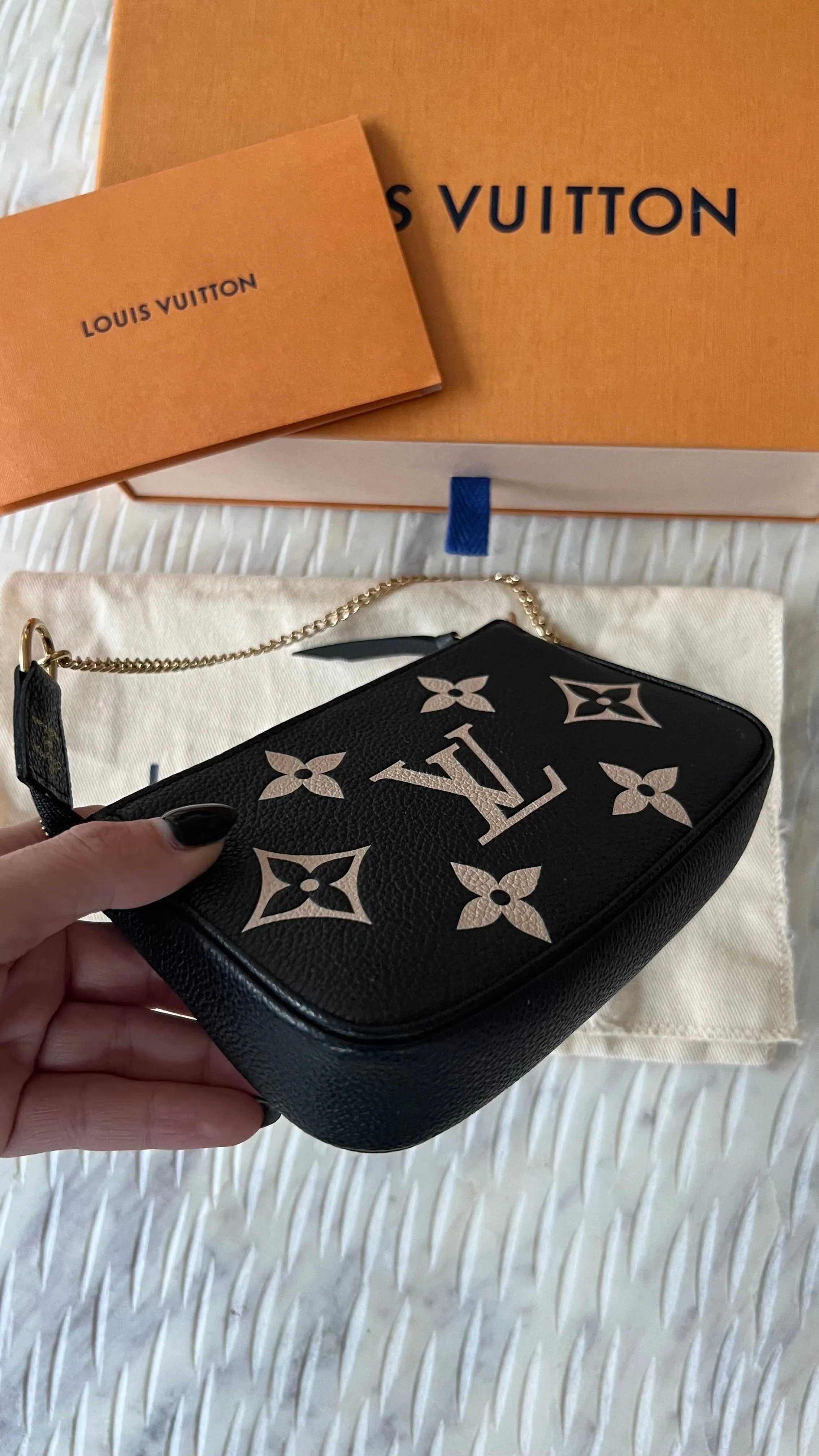 Louis Vuitton Mini Pochette Accessories Bag